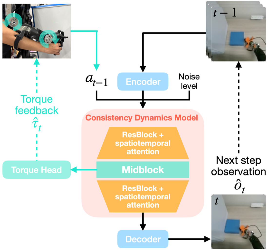 Overview of HapticWorld: observation history and commanded joint positions enter a consistency dynamics model; the torque head reads the midblock features and renders torque back to the leader arm.